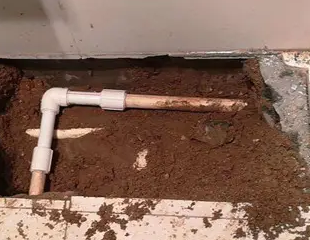 永仁测漏水哪家好