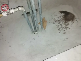 永仁卫生间测漏水价格明细